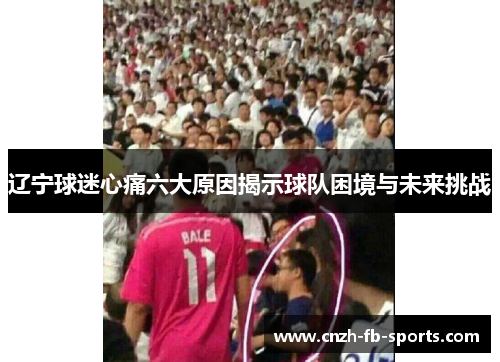 辽宁球迷心痛六大原因揭示球队困境与未来挑战