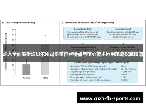 深入全面解析坎贝尔所司多重位置特点与核心技术运用策略权威指南