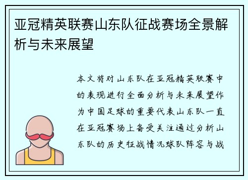 亚冠精英联赛山东队征战赛场全景解析与未来展望 亚冠精英联赛山东队征战赛场全景解析与未来展望